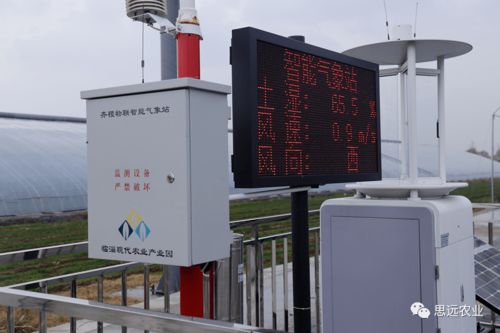 思远标准化智慧农业服务模式获国家级认可 树立数字农业新标杆